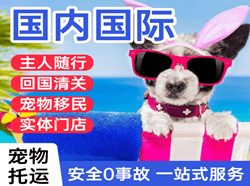 阿勒泰雪都国际宠物托运 【国